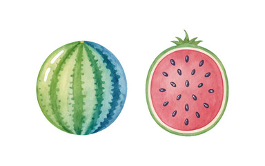 Watercolor painting of whole and sliced watermelon fruit vector illustration ideal for organic food packaging, healthy diet, and summer-themed promotional designs