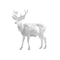 Stippling Deer Illustration – Vintage Dotwork Wildlife Drawing