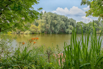 Pond in the forest among bushes and trees
