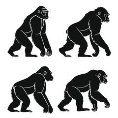 Four Black Gorilla Silhouette Illustrations Walking on White Background Style