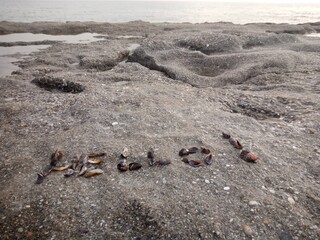 A rocky shore with the word HELLO spelled out in shells. The sea is visible in the background. The shells are arranged on the surface so that they form an inscription in English. The ba
