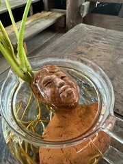 Close-up a human sculpture carved into a tree vase