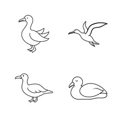 Obraz premium Albatross bird line art set for ocean and seabird nature themes vector illustration.