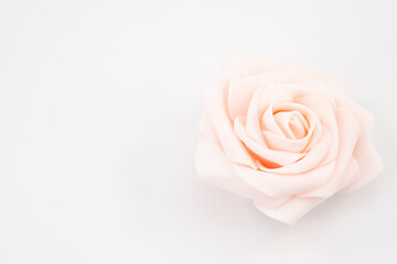 Fototapeta premium primo piano fiore di rosa artificiale in materiale sintetico di un tenue color rosa su fondo bianco