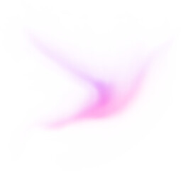 Colorful Celestial Wings: A Dance of the Aurora