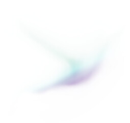 Colorful Celestial Wings: A Dance of the Aurora