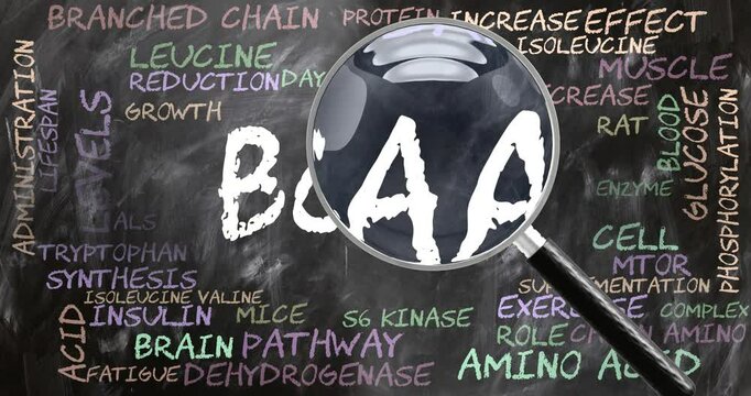 Bcaa being studied, examined - under close inspection. Most important subjects and ideas closely related to bcaa written on a blackboard inspected by a magnifying glass. Can be looped