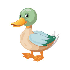 Vector illustration of a friendly duck with a rounded body and smooth feathers, isolated on a white background.
