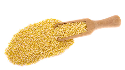 Millet in a wooden spatula close-up on a white. Isolated