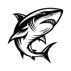 Aggressive Shark in Black and White, Mouth Open with Sharp Teeth, Isolated on White