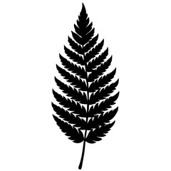 Naklejka premium leaf isolated on white