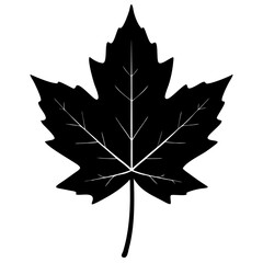single sycamore leaf with deep lobes and visibl.svg