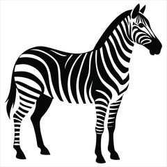 Fototapeta premium zebra animal silhouette vector isolated on a white background 