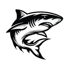 Aggressive Great White Shark in Monochrome Style, Showing Teeth, Isolated on White