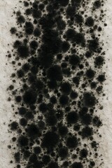 black mold growth spreading across a damp, textured wall 