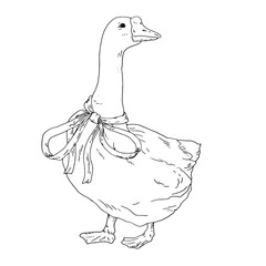 A white pet goose with a beautiful bow around its neck, a black and white ink sketch. Vector illustration. Cute farm bird, isolated on a white background. Easter, spring, holiday, and farm themes