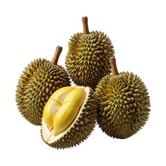 Illustration of Durian isolated on transparent background. Tropical fruit. Food clip art. Healthy.
