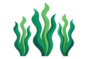 Three Groups of Waving Green Seaweed with Layered Coloration on a White Background