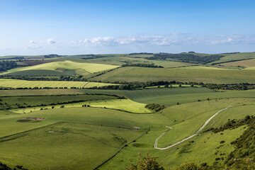 Looking out over green rolling hills in the South Downs, on a sunny early summer's day