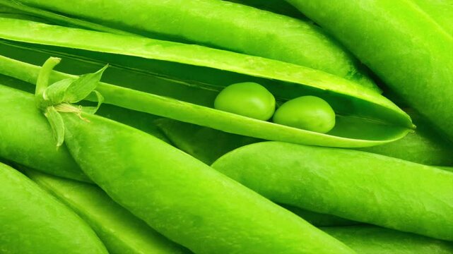 Two peas in a pod concept of togetherness	