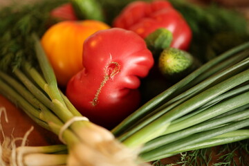 Tomatoes, cucumbaers, green Onion and Dill