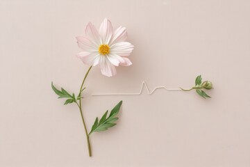 Fototapeta premium Heartbeat Monitor Line Transforms Into Delicate Flower Representation on Soft Background