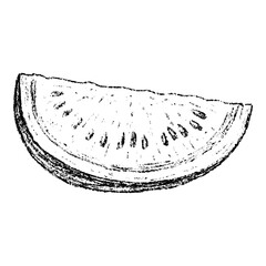 Sketch crayon summer fruit watermelon illustration. Hand drawn scribble doodle dessert tropical plant, sweet and tasty. Pencil texture vector design element for label, package, tag.