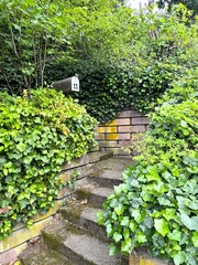 camino de piedra en un jard&iacute;n