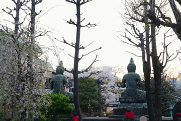 Two large Buddha statues seen from behind, framed by bare trees and delicate cherry blossoms. In the foreground, smaller Jizo statues  peaceful and spiritual atmosphere of this sacred space.
