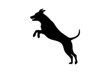 Dog silhouette jumping playful animal pet canine