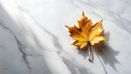 Single golden autumn leaf floating above white marble