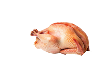 A raw, uncooked turkey ready for roasting, displayed against a transparent background. background removed