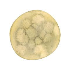 Watercolor circle moon halloween decoration. Cartoon watercolor illustration hand drawn cartoon. Drawing for stickers, scrapbooking. Night, moon, watercolor, spot, circle, texture, halloween, holiday,