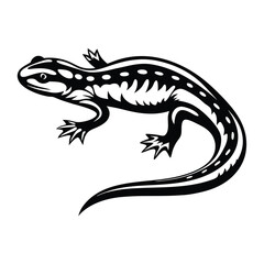 Striking Isolated Black and White Salamander on White Background, Reptile Design