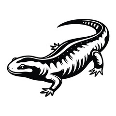 Isolated Black and White Spotted Salamander. Amphibian with Distinctive Markings