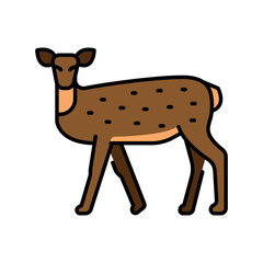 white tailed deer color line icon for digital and print projects. North american animals.