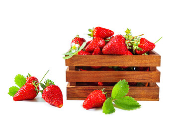 Ripe juicy strawberries with flowers and leaves in a wooden box.