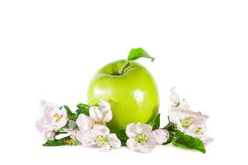 Green juicy glossy apple with flower and leaves. Isolated on white.