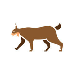 bobcat color flat icon for digital and print projects. North american animals.