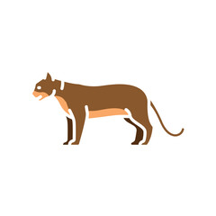 cougar color flat icon for digital and print projects. North american animals.