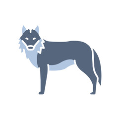 gray wolf color flat icon for digital and print projects. North american animals.