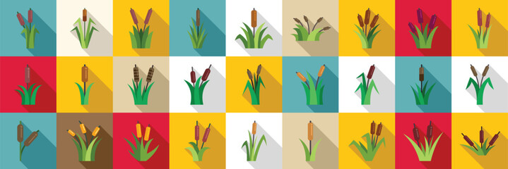 Grass reed icons set. Reed mace icons set showing aquatic grass growing in wetlands, nature plant for decoration