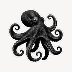 Vintage octopus illustration art