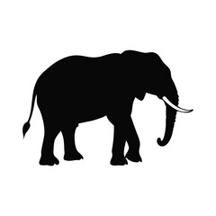 Fototapeta premium Elephant Silhouette Vector design white Background.