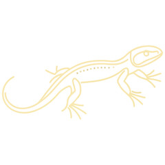 Naklejka premium lizard, reptile, vector, transparent background, creature, lacertilia, animal, isolated, nature, wildlife