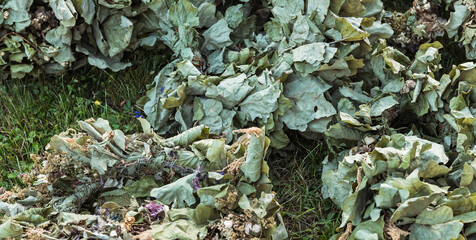 Abstract image of dried wreaths of last year's summer solstice made of oak branches and wildflowers. Arranged for burning in a bonfire. Selective focus.