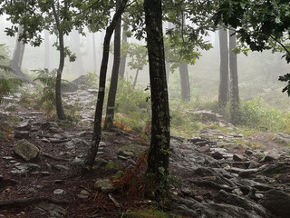 serra da labruja, mountain path of the witch, with rocky terrain  along the pilgrimage on the road to Santiago in Portugal
