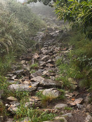 serra da labruja, mountain path of the witch, with rocky terrain  along the pilgrimage on the road to Santiago in Portugal

