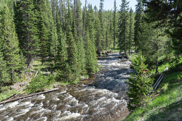 Little Firehole River, Yellowstone National Park, Wyoming, USA