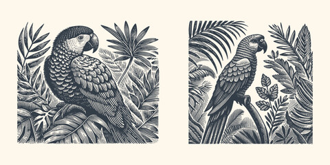 Woodcut Style Illustration  Soft Green Parrot Surrounded by Tropical Jungle Foliage  Hand-Drawn Engraving Design for Nature, Wildlife,  Botanical Themes